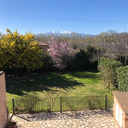 Au Mimosa -Gite Le Canigou Passa ภายนอก รูปภาพ